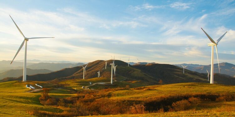 Empowering the Future: Student-Led Renewable Energy Initiatives