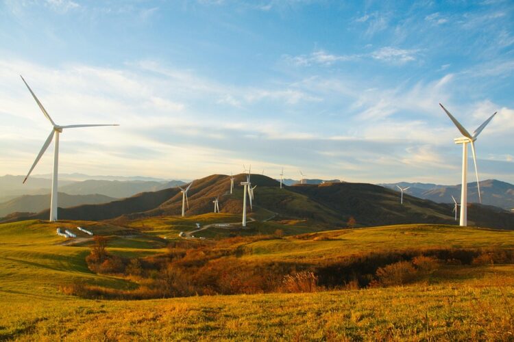 Empowering the Future: Student-Led Renewable Energy Initiatives