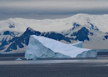 Cracking the Code: Understanding Carbon Tax in Plain English