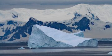 Cracking the Code: Understanding Carbon Tax in Plain English