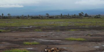 Global Climate Commitments: A Comparative Analysis of Country-Specific Legislation