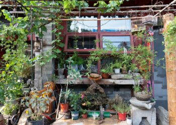 A table topped with lots of potted plants