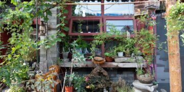 A table topped with lots of potted plants