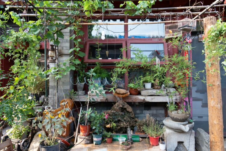 A table topped with lots of potted plants