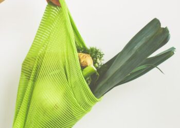 person holding green leaf vegetable