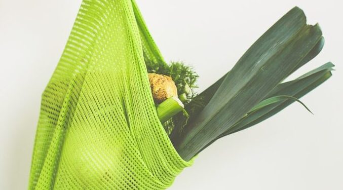 person holding green leaf vegetable