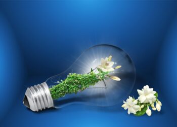 Power Struggle: The Battle Between Solar and Wind Energy