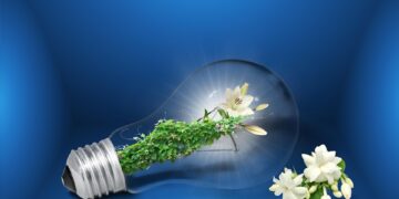 Power Struggle: The Battle Between Solar and Wind Energy