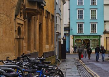 a bunch of bikes parked on the side of a street