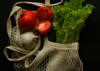 a bag filled with lettuce and tomatoes