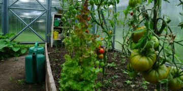 a garden filled with lots of green plants