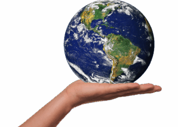 Facing the Heat: How Global Warming is Threatening Wildlife Survival