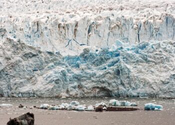 Urgent Call to Action: Why Climate Action Plans are Essential for a Sustainable Future