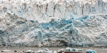 Urgent Call to Action: Why Climate Action Plans are Essential for a Sustainable Future