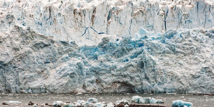 Urgent Call to Action: Why Climate Action Plans are Essential for a Sustainable Future
