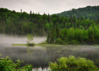 Understanding the Basics: A Beginner’s Guide to Global Warming