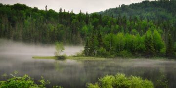 Understanding the Basics: A Beginner’s Guide to Global Warming