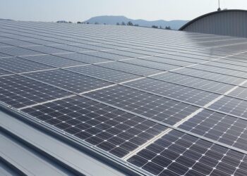 Green Energy 101: Simple Solutions for Sustainable Living