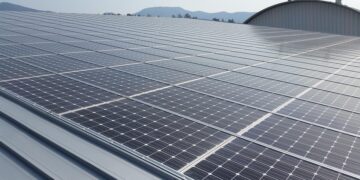 Green Energy 101: Simple Solutions for Sustainable Living