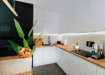 A kitchen with a plant in the middle of the counter