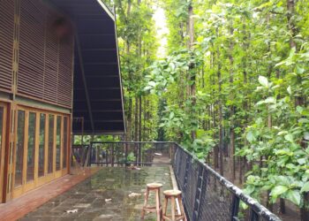 a wooden building surrounded by lush green trees