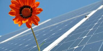 Powering the Future: A Battle Between Solar and Wind Energy