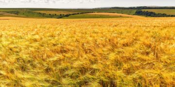 Easy Eco-Friendly Living: 10 Simple Tips for a Sustainable Lifestyle