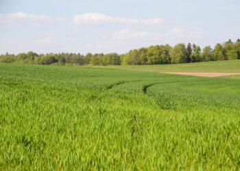 5 Easy Ways to Embrace Sustainable Living Today!