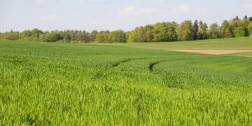 5 Easy Ways to Embrace Sustainable Living Today!