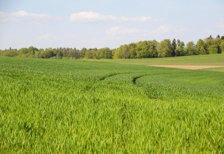 5 Easy Ways to Embrace Sustainable Living Today!