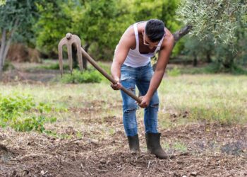 The Cold Hard Truth: Uncovering the Impact of Global Warming on Our Planet