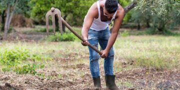 The Cold Hard Truth: Uncovering the Impact of Global Warming on Our Planet