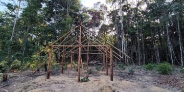 a wooden structure sitting in the middle of a forest