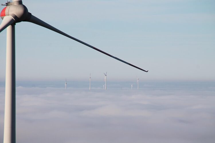 The Bright Side and Shadows of Renewable Energy: Exploring the Pros and Cons of Sustainable Power Sources