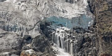 10 Essential Tips for Taking Action Against Global Warming