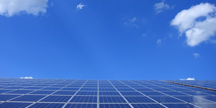 Green Energy 101: A Beginner’s Guide to Sustainable Solutions