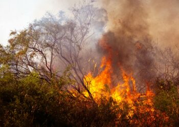 Bushfire in Australia