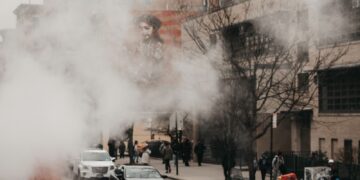 person standing near bare tree