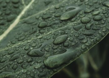 Revolutionizing the Future: 10 Green Tech Startups Leading the Charge