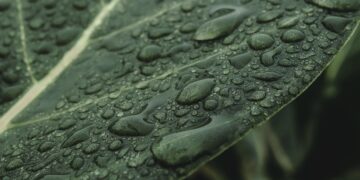 Revolutionizing the Future: 10 Green Tech Startups Leading the Charge