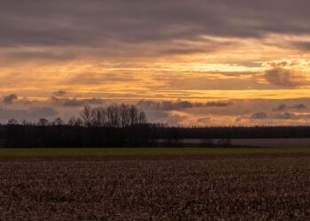 Revolutionizing Environmental Sustainability: Exploring the Latest Green Tech Trends