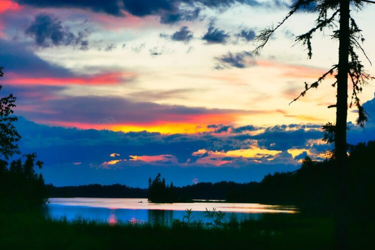 The Heat is On: How Global Warming is Impacting Our Health and Well-being