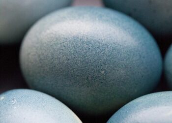 Emerald Innovations: The Rise of Green Technology in a Sustainable World
