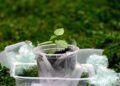 Drive for Change: Transforming Transportation to Reduce Carbon Emissions