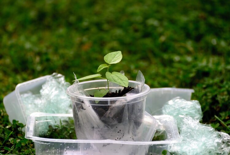Drive for Change: Transforming Transportation to Reduce Carbon Emissions