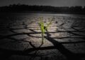 The Burning Truth: Uncovering the Root Causes of Global Warming