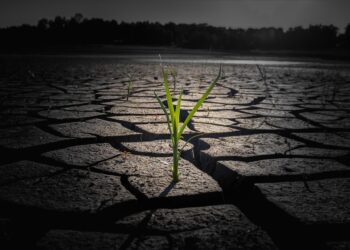 The Burning Truth: Uncovering the Root Causes of Global Warming