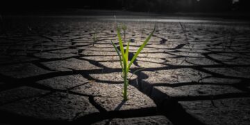 The Burning Truth: Uncovering the Root Causes of Global Warming