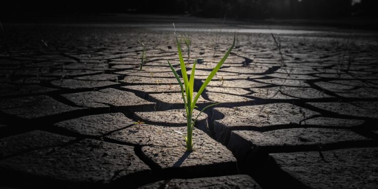 The Burning Truth: Uncovering the Root Causes of Global Warming