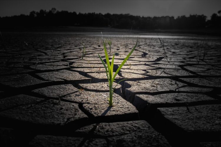 The Burning Truth: Uncovering the Root Causes of Global Warming